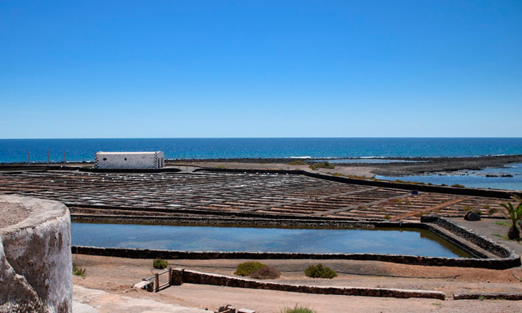 museo de la salFuerteventura