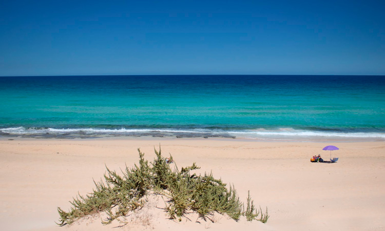 Pajara Fuerteventura